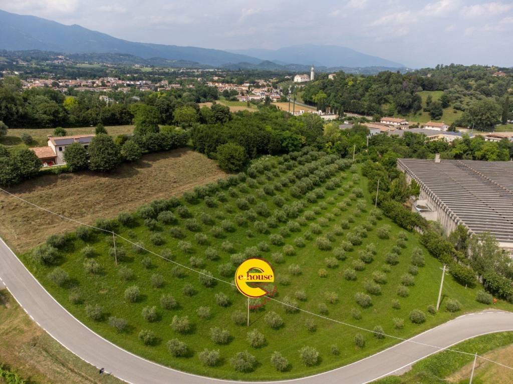 immagine annuncio 3 di 12