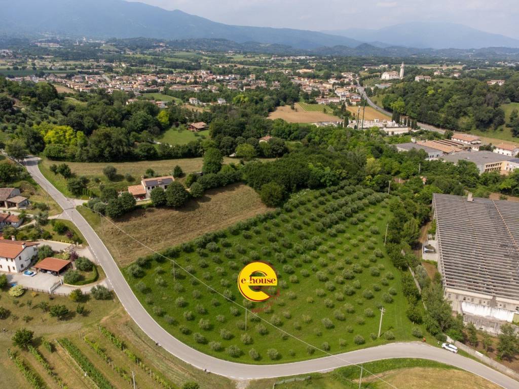 immagine annuncio 8 di 12