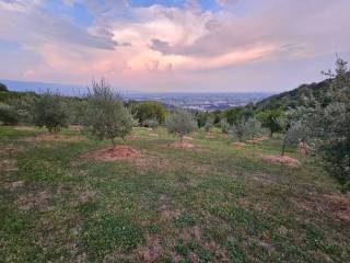 Terreno agricolo in vendita a isola vicentina via cogolla alta