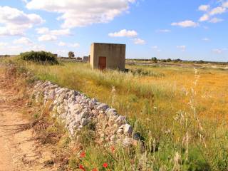 Terreno agricolo in vendita a castrignano del capo strada vicinale vaccole 1