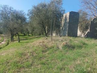 Terreno agricolo in vendita a pontassieve via beato angelico, 2