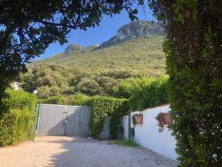 Villa in affitto a sabaudia strada lungomare pontino