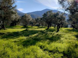 Terreno agricolo in vendita a cori via le pastine, 34