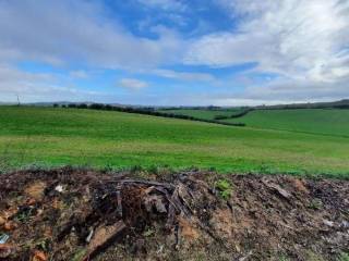 Terreno agricolo all'asta a rimini via del poggio