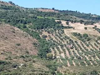 Terreno agricolo all'asta a frascineto c.da monte snc snc, frascineto, cs,