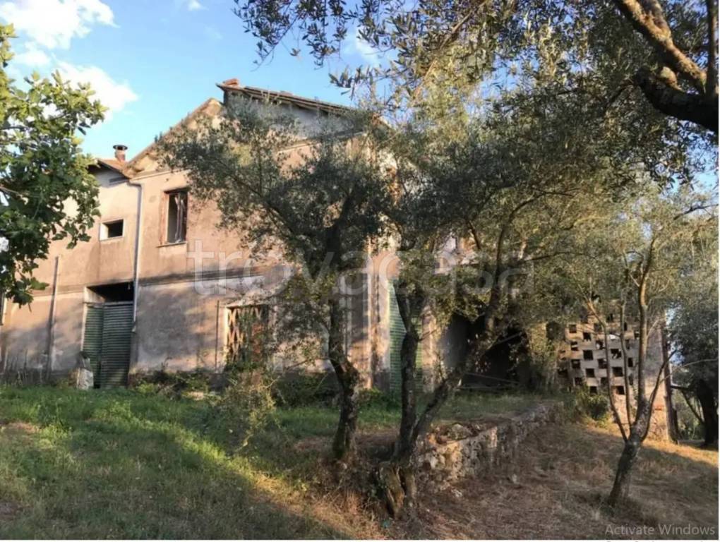 immagine annuncio 3 di 8