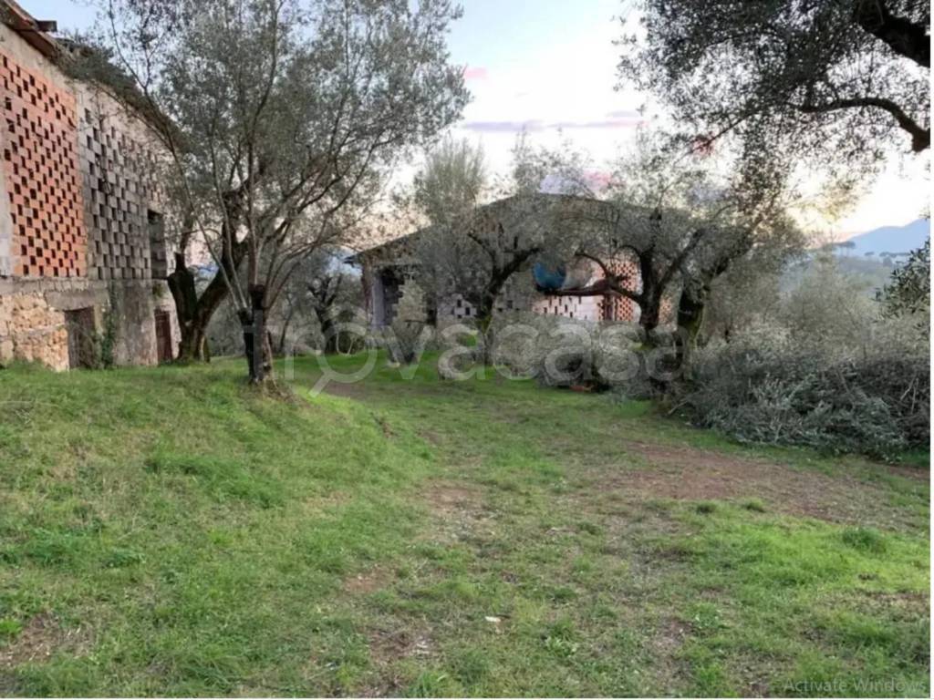 immagine annuncio 4 di 8