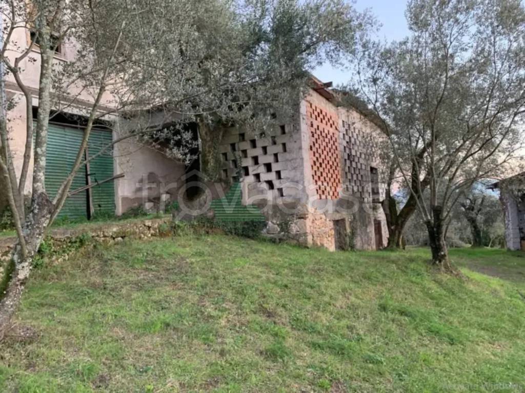 immagine annuncio 5 di 8