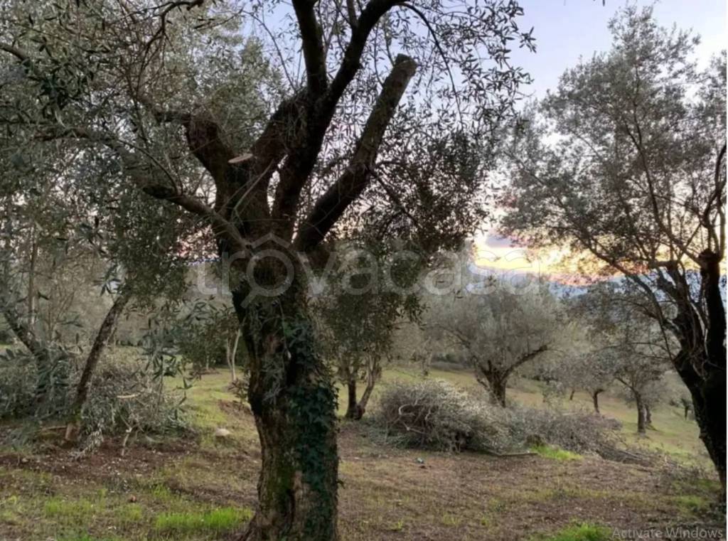 immagine annuncio 7 di 8