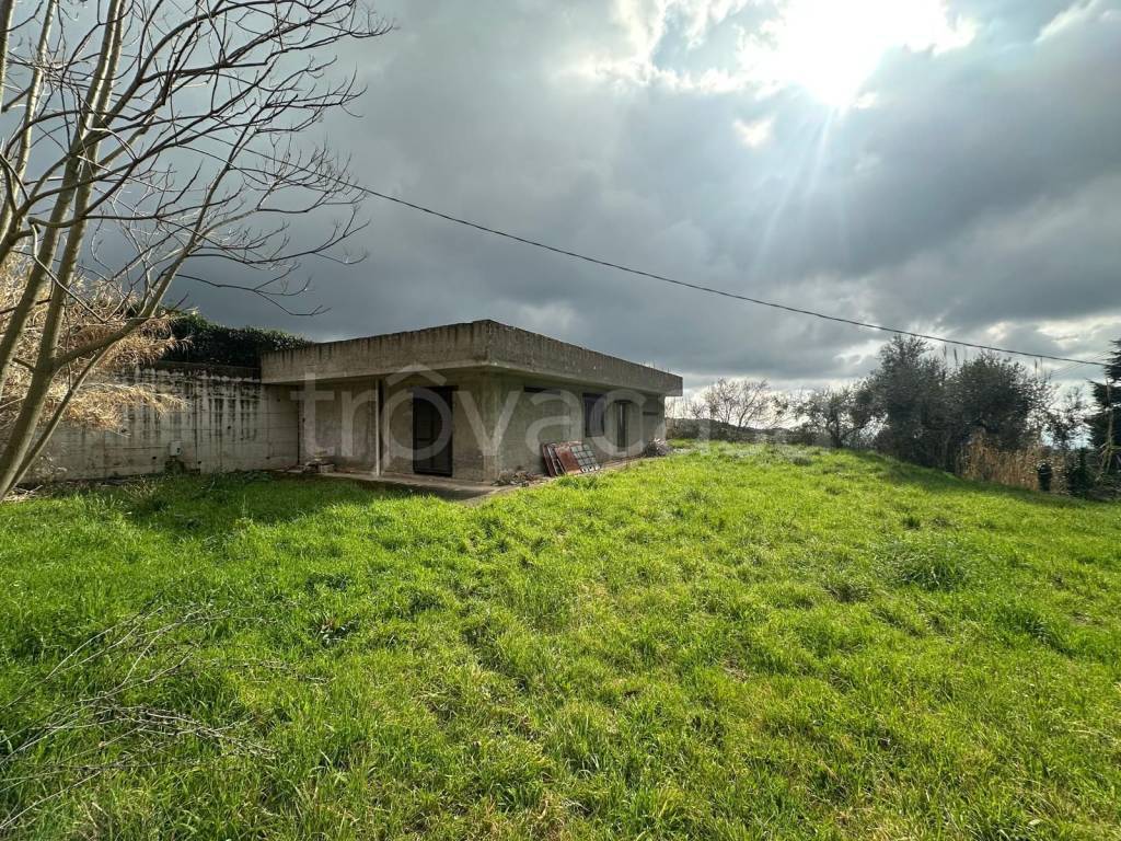 immagine annuncio 2 di 4