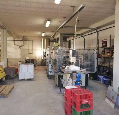 immagine annuncio 8 di 12