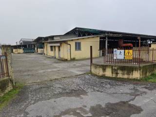 Azienda agricola all'asta a urgnano via dei curti, 567