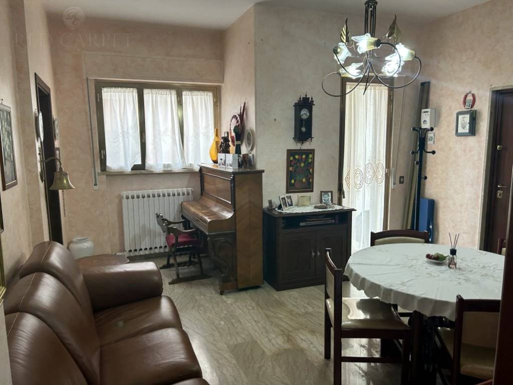 immagine annuncio 3 di 14