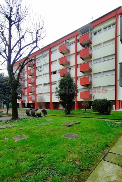 immagine annuncio 2 di 11