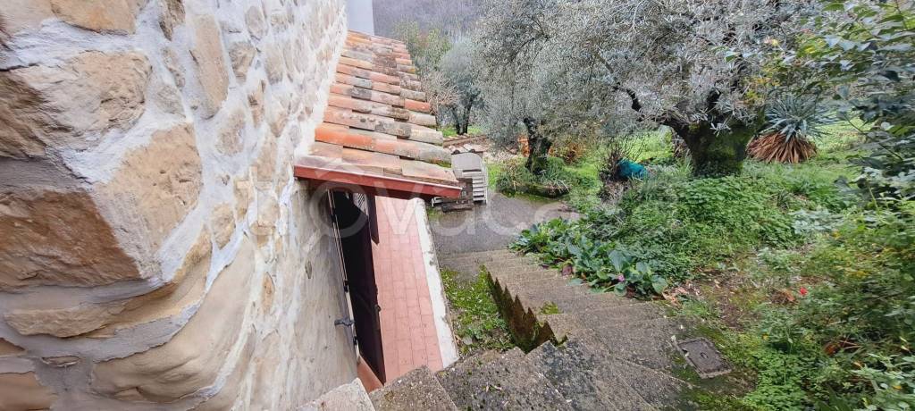 immagine annuncio 4 di 6