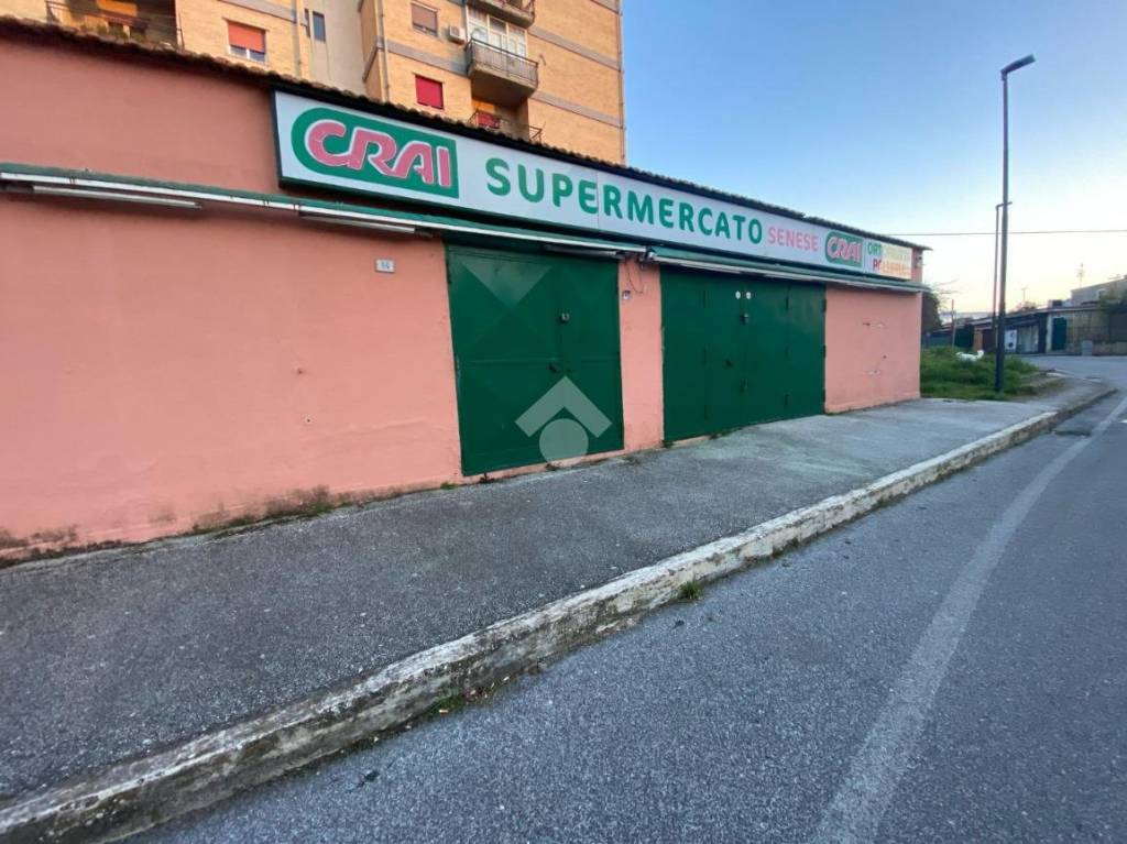 immagine annuncio 5 di 12