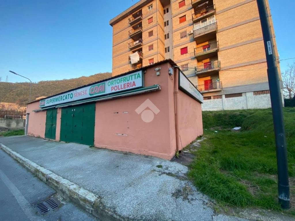 immagine annuncio 7 di 12