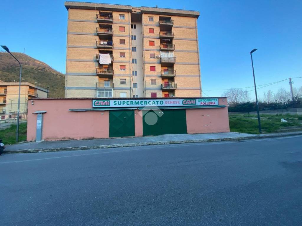 immagine annuncio 10 di 12
