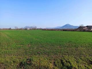 Terreno agricolo in vendita a noventa vicentina via are, 95