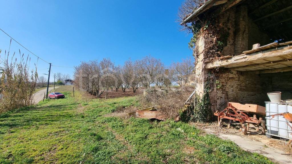 immagine annuncio 3 di 13