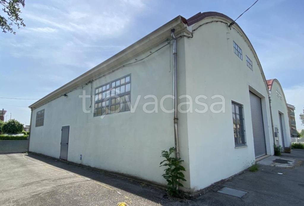 immagine annuncio 1 di 6