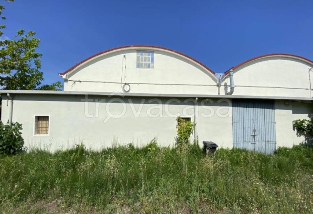 immagine annuncio 3 di 6