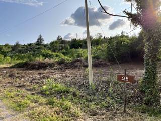 Terreno agricolo in vendita a palombara sabina strada delle rofoline