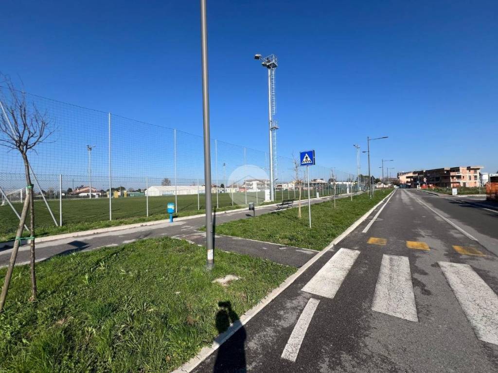 immagine annuncio 6 di 11