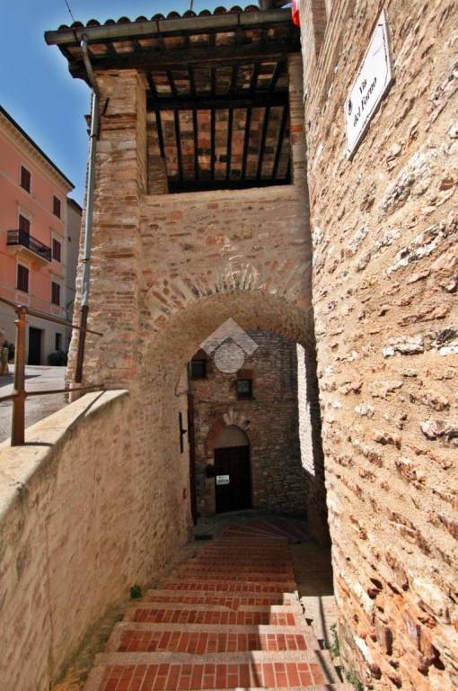 immagine annuncio 9 di 14