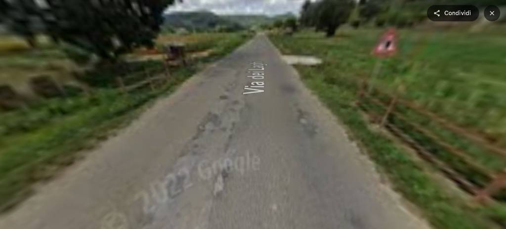 immagine annuncio 11 di 13