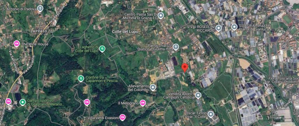 immagine annuncio 2 di 10