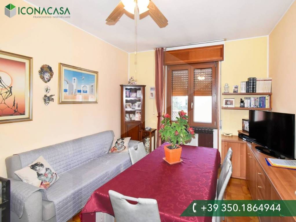 immagine annuncio 5 di 15