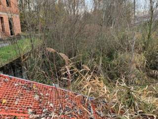 Terreno agricolo all'asta a cologna veneta viale verona