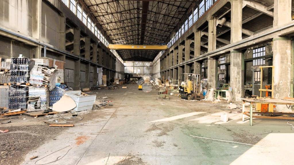immagine annuncio 5 di 12