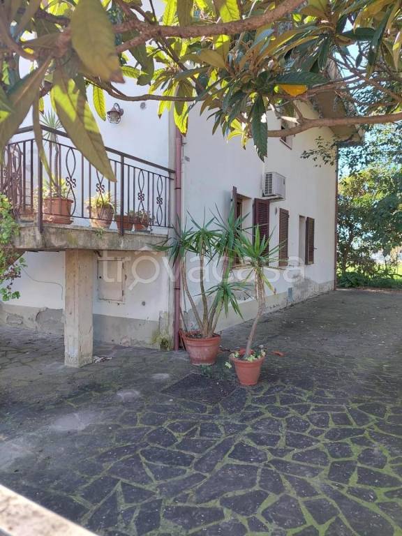 immagine annuncio 1 di 8