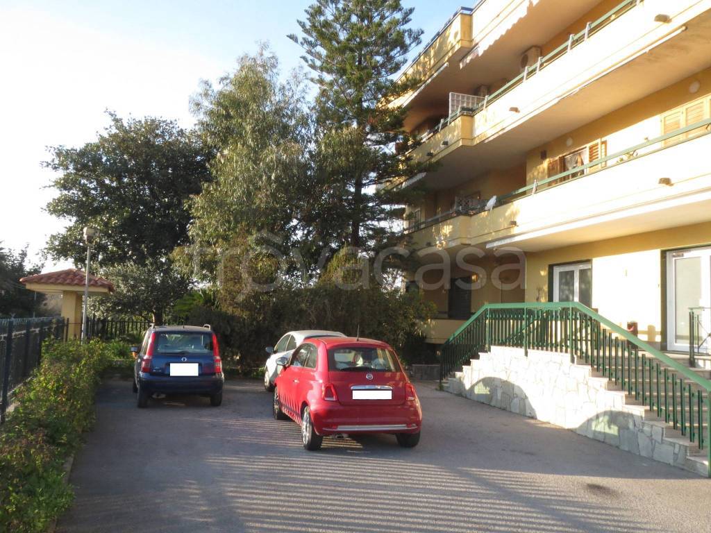 immagine annuncio 12 di 14