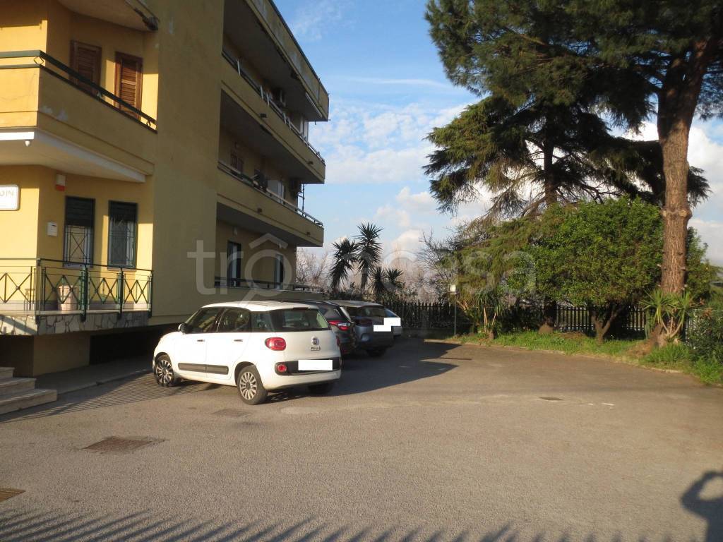 immagine annuncio 13 di 14