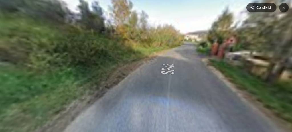 immagine annuncio 8 di 14