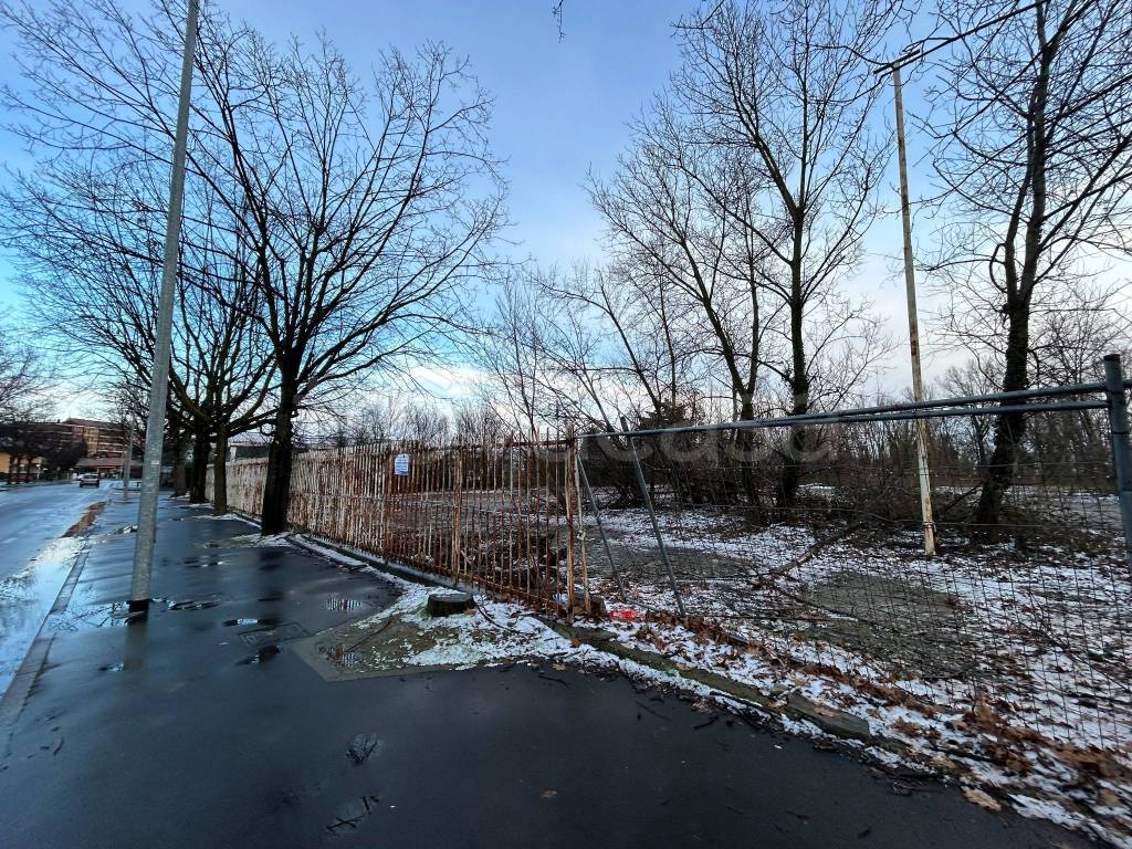 immagine annuncio 1 di 10