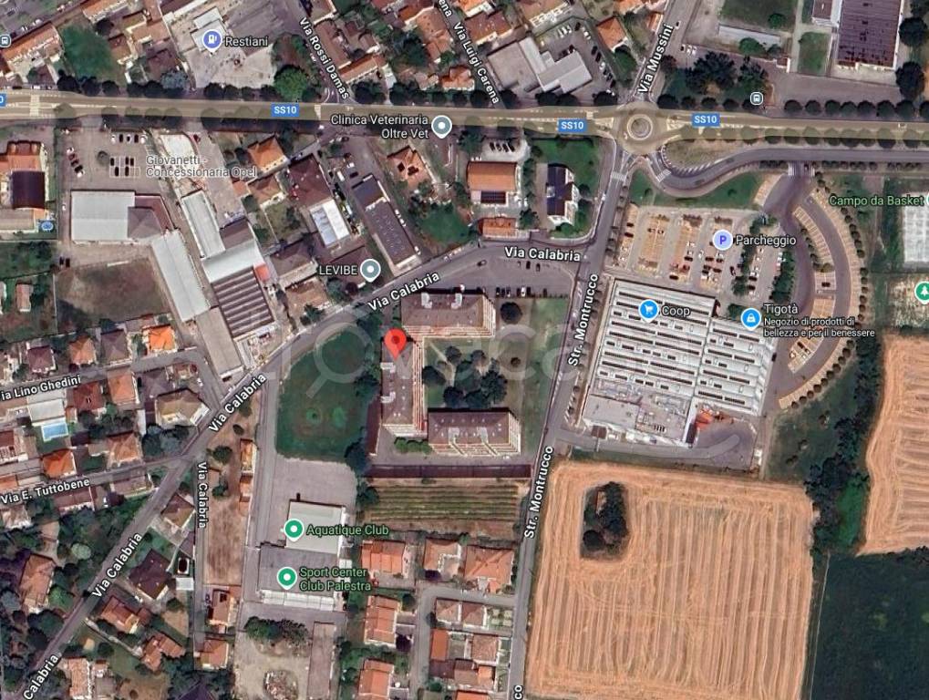 immagine annuncio 12 di 15