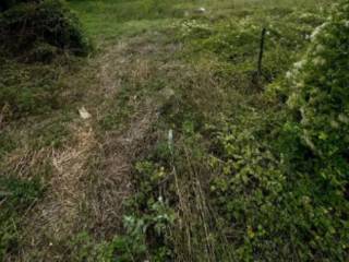 Terreno residenziale all'asta a san potito sannitico strada vicinale san cassiano