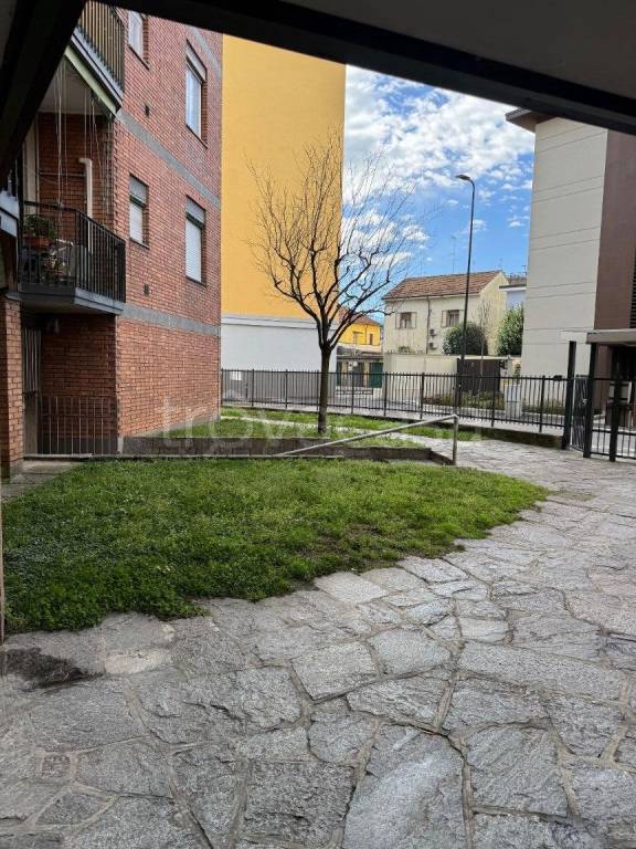 immagine annuncio 5 di 15