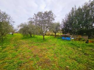 Terreno agricolo in vendita a viterbo strada san cataldo