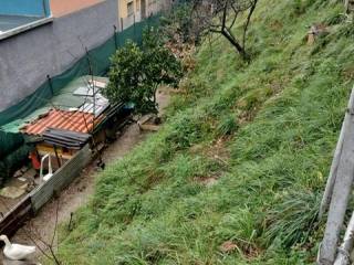 Terreno agricolo in vendita a genova via carnia