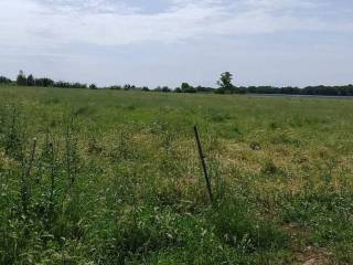 Terreno agricolo in vendita a cisterna di latina olmobello