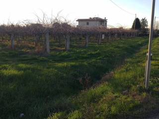 Terreno agricolo in vendita a cisterna di latina 