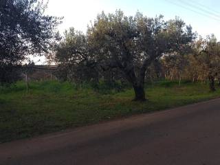 Terreno agricolo in vendita a cisterna di latina via virgilio