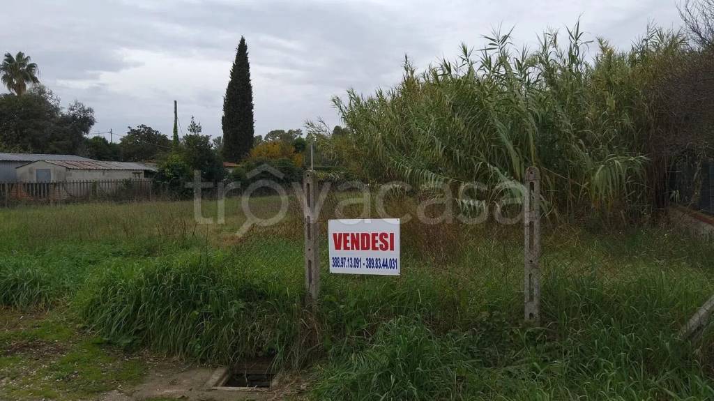 immagine annuncio 3 di 4