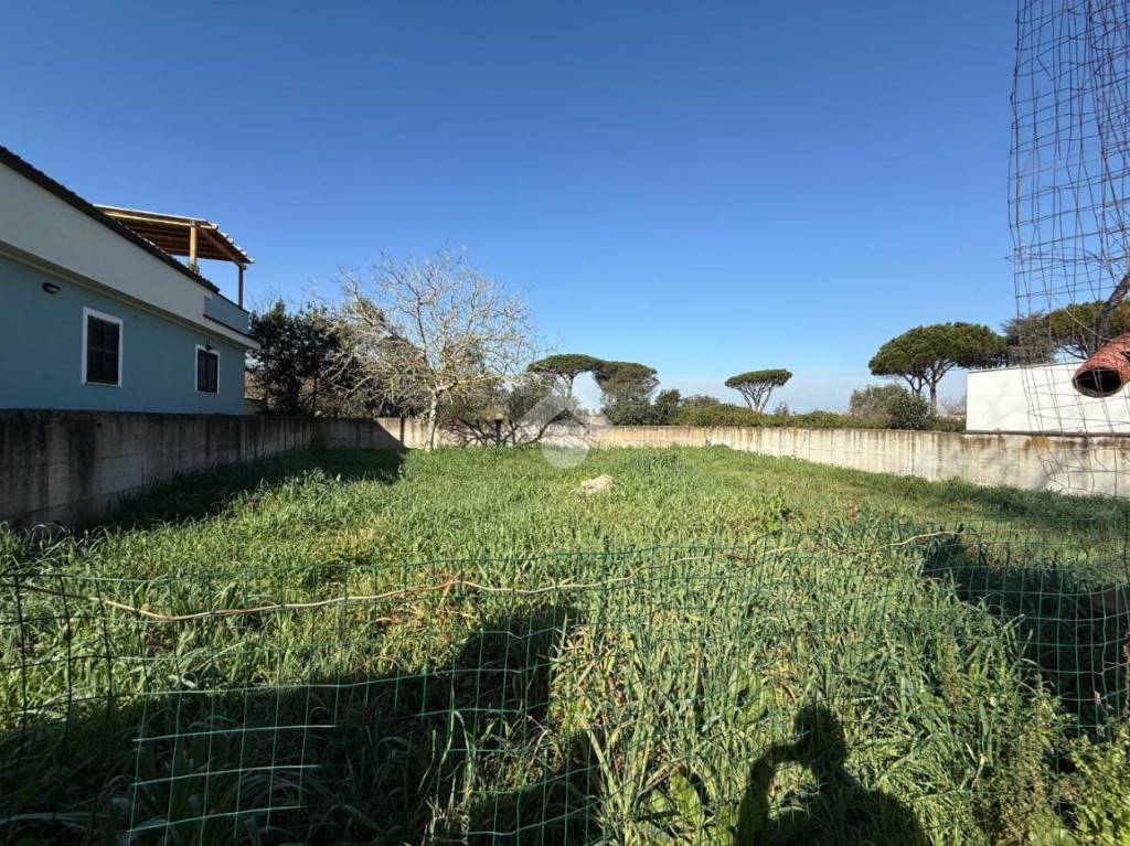immagine annuncio 8 di 11