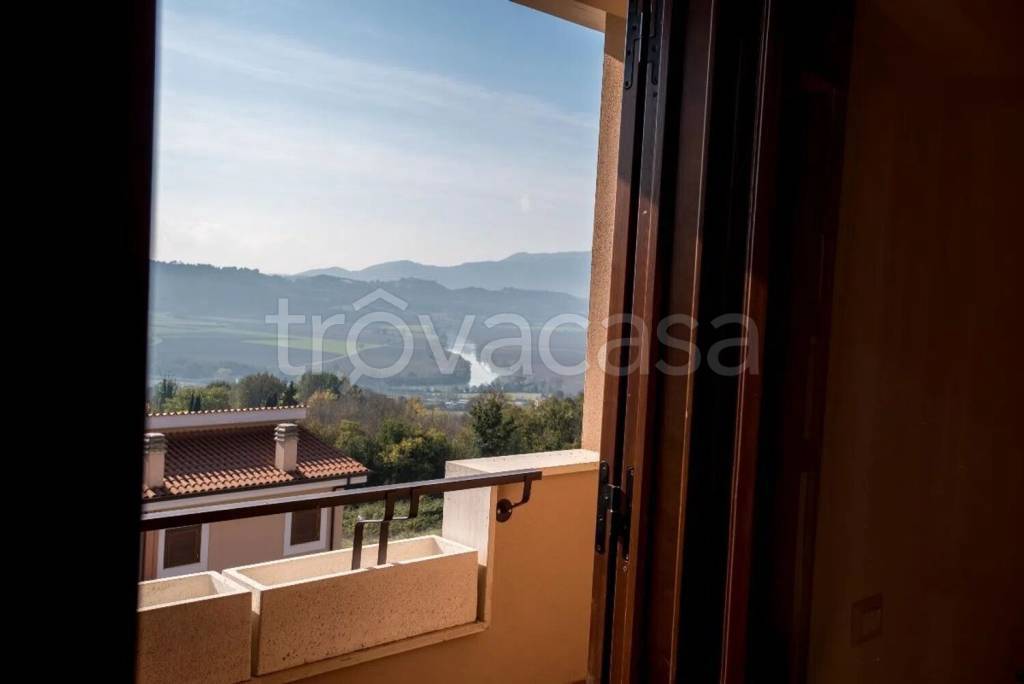 immagine annuncio 9 di 12